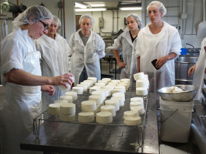 Cheesemaking at Vermont Tech